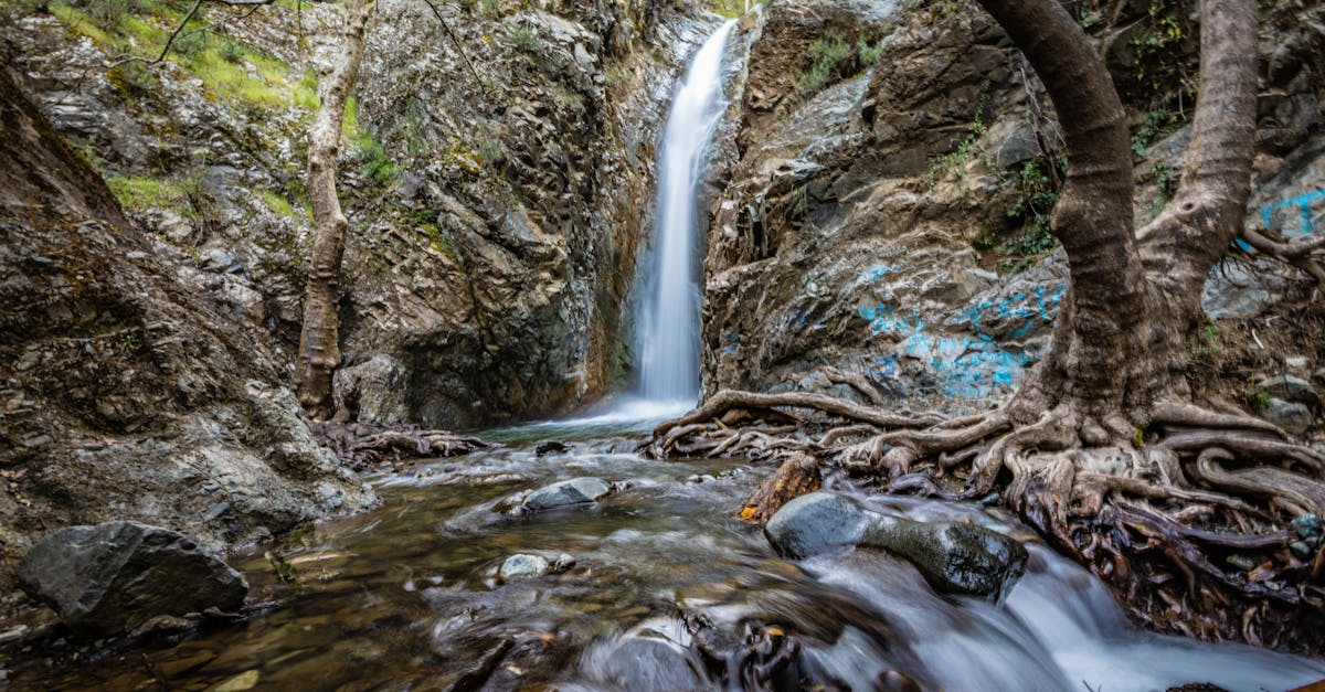 découvrez comment créer une entreprise à chypre facilement et rapidement. profitez des avantages fiscaux, d'un environnement d'affaires attractif et d'une procédure simplifiée pour l'enregistrement de votre société à chypre.